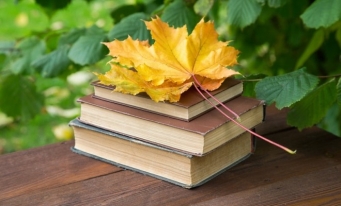 Determinări și evaluări