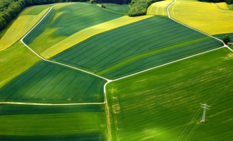 Comasarea terenurilor facilitează agricultura de mare precizie și atrage capital străin, însă vine cu dezavantaje structurale