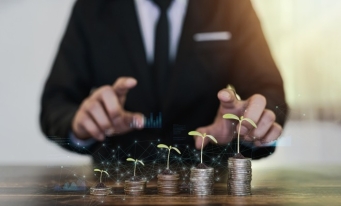 Capitalul autohton domină numeric în România, însă investitorii străini domină financiar