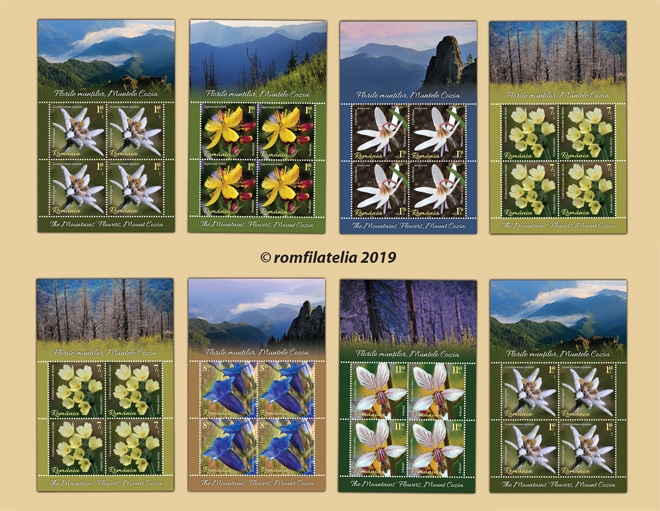 O nouă emisiune de mărci poștale – Florile munților, Muntele Cozia