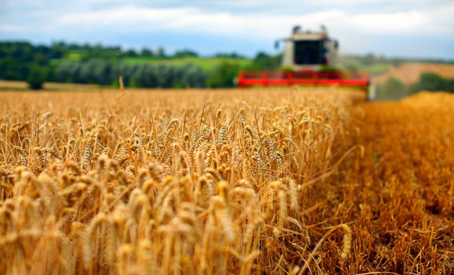 Preşedintele Iohannis a promulgat Legea privind instituirea unei scheme de ajutor de stat pentru producătorii agricoli afectaţi de secetă