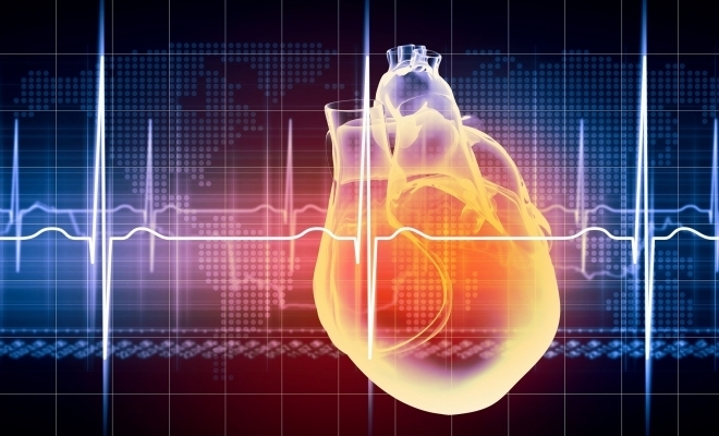 Prima inimă robotizată, obținută cu ajutorul celulelor stem și al biotehnologiei, este în dezvoltare