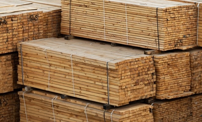 ASFOR și BRM vor înființa o bursă a lemnului în primul trimestru din 2022