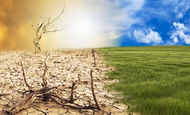 Adrian Oros: Se vor despăgubi cu sume considerabile pierderile cauzate de secetă