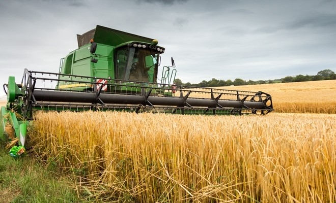 România, al doilea mare exportator de grâu din UE, după Franța, în sezonul 2021/2022