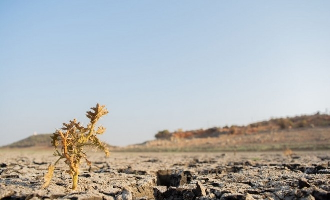 MADR: Peste 1,017 milioane hectare afectate de secetă, conform ultimelor raportări