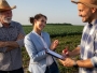 Fermierii pot depune cereri de finanțare pentru rambursarea primelor de asigurare în perioada 25 septembrie - 12 octombrie 2025
