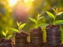 AFM va finanța din bugetul Fondului pentru Mediu proiecte suspendate de la finanțare prin PNRR