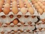 Ministrul Agriculturii: România a devenit cel mai mare producător de ouă din regiune în anul 2024